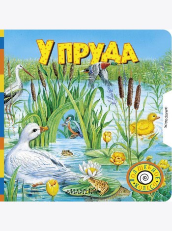 У пруда