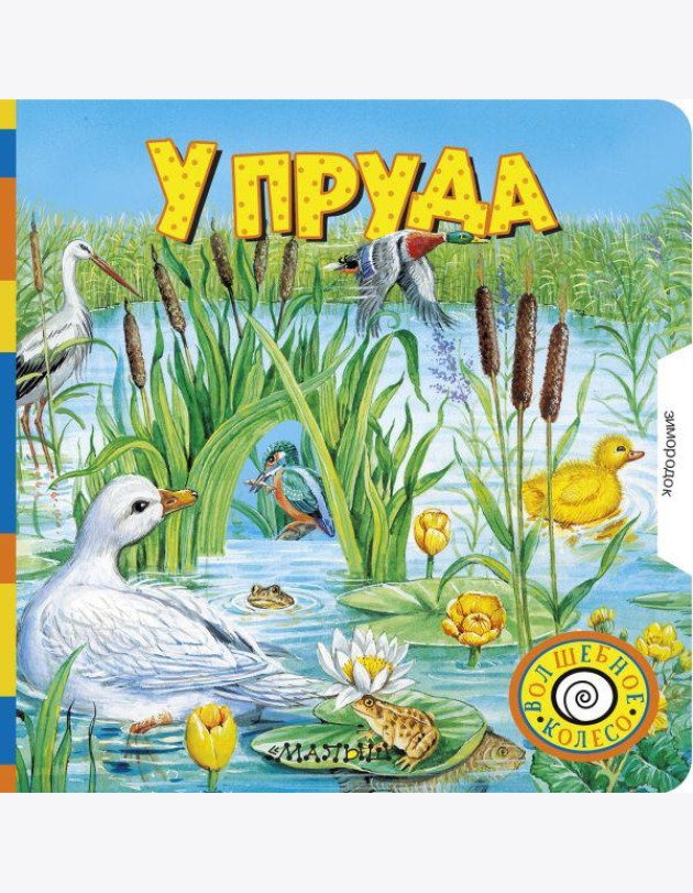 У пруда