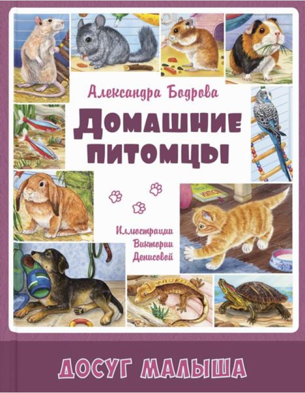 Домашние питомцы