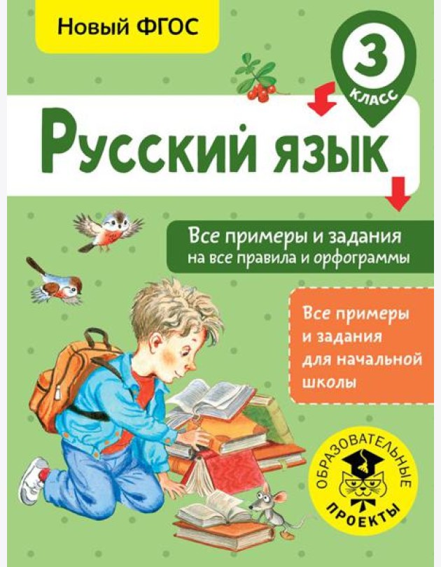 Русский язык. Все примеры и задания на все правила и орфограммы. 3 класс