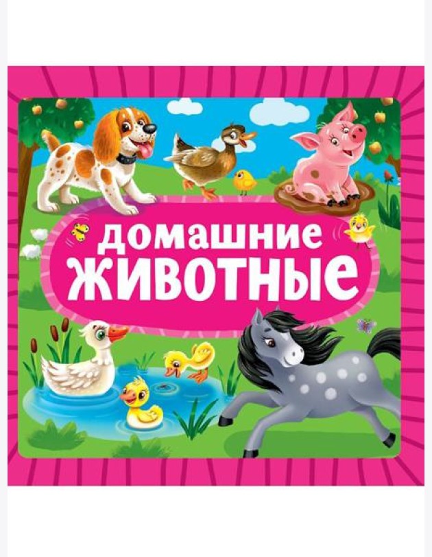 ЦК 145х145. ДОМАШНИЕ ЖИВОТНЫЕ