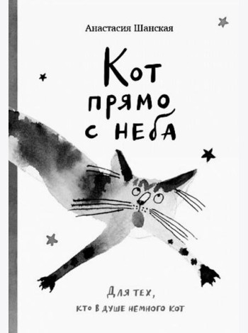 Кот прямо с неба