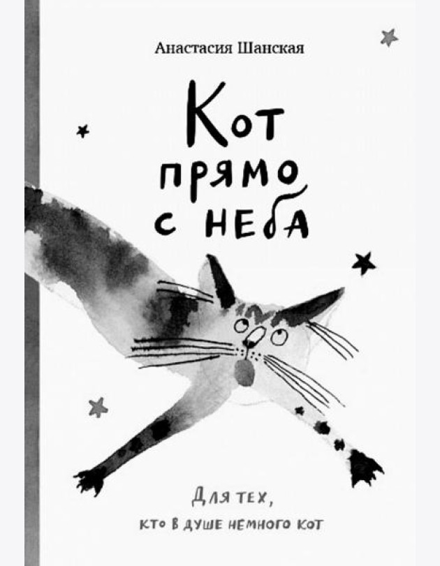 Кот прямо с неба