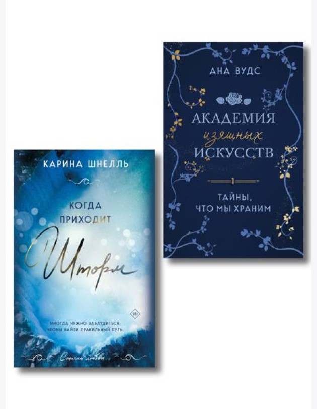 Комплект из 2-х книг (Тайны, что мы храним + Когда приходит шторм)