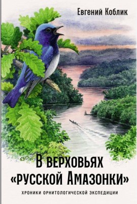 В верховьях «русской Амазонки»: Хроники орнитологической экспедиции