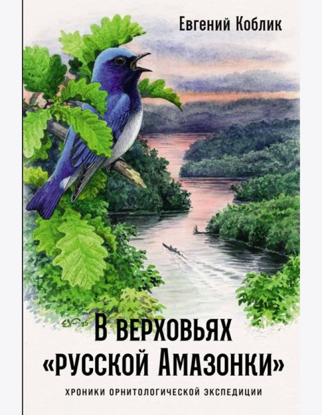 В верховьях «русской Амазонки»: Хроники орнитологической экспедиции