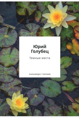Темные места. Вторая книга песен