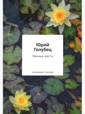 Темные места. Вторая книга песен