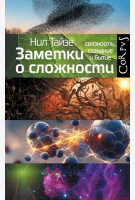 Заметки о сложности. Связанность, сознание и бытие