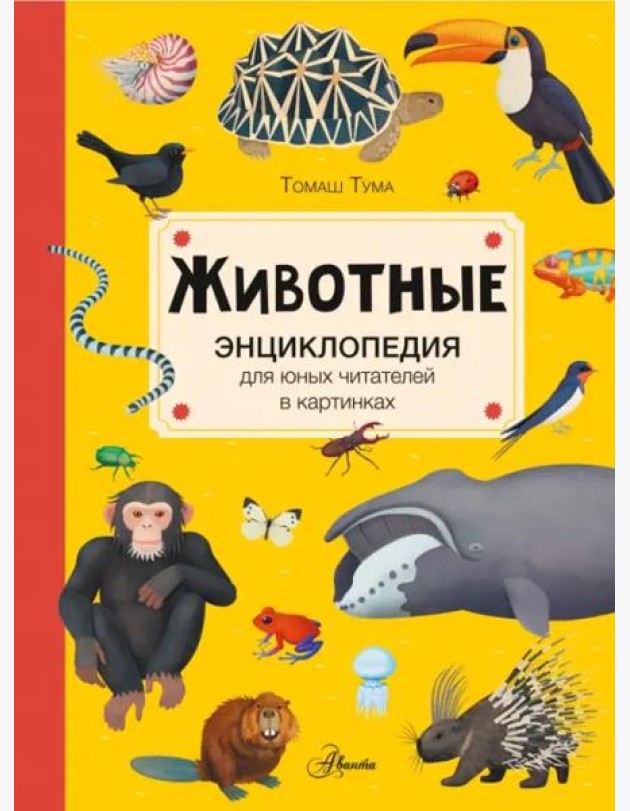 Животные