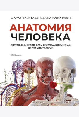 Анатомия человека. Визуальный гид по всем системам организма: норма и патологии