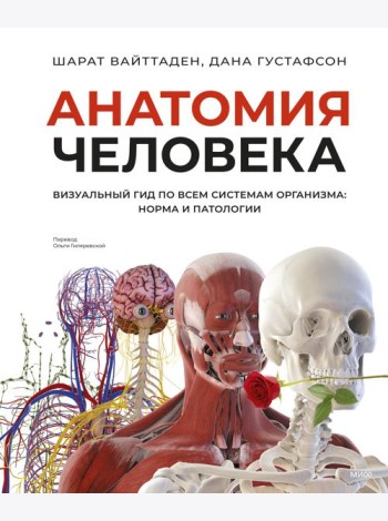 Анатомия человека. Визуальный гид по всем системам организма: норма и патологии