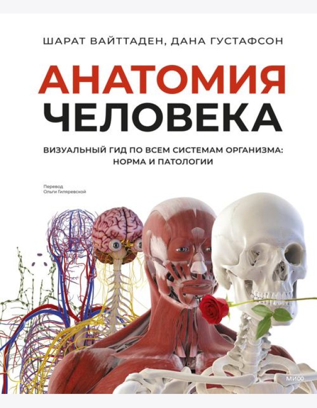 Анатомия человека. Визуальный гид по всем системам организма: норма и патологии