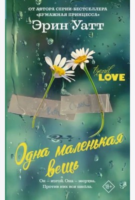 Одна маленькая вещь