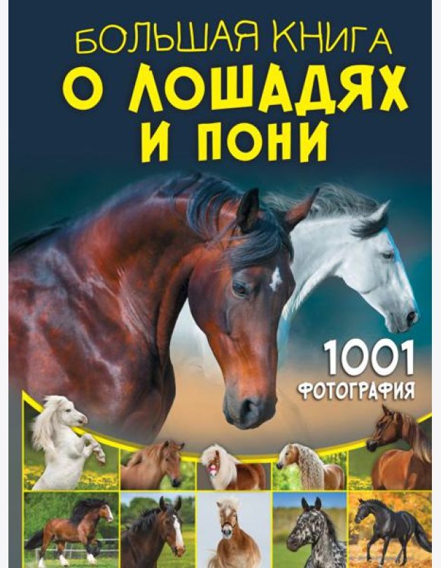 Большая книга о лошадях и пони. 1001 фотография