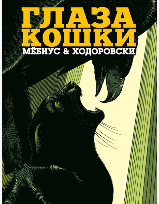 Глаза кошки