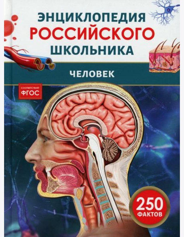 Человек