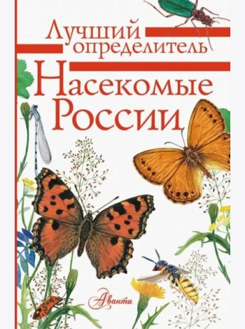 Насекомые России