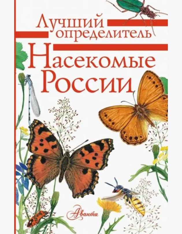 Насекомые России