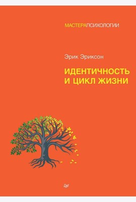 Идентичность и цикл жизни