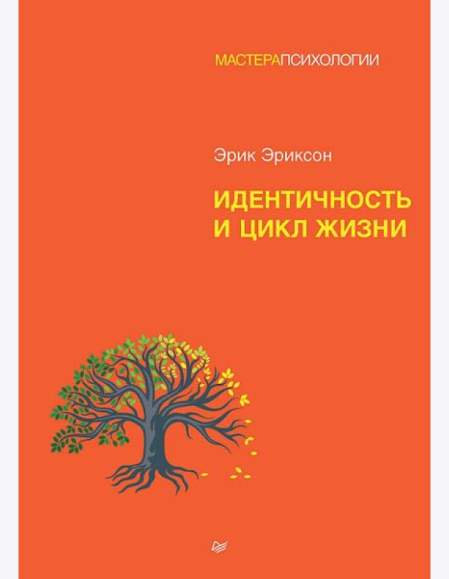 Идентичность и цикл жизни
