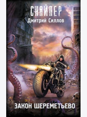 Закон Шереметьево: фантастический роман
