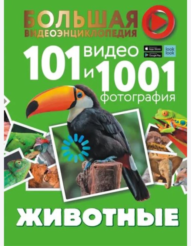 Животные. 101 видео и 1001 фотография