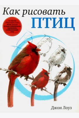 Как рисовать птиц