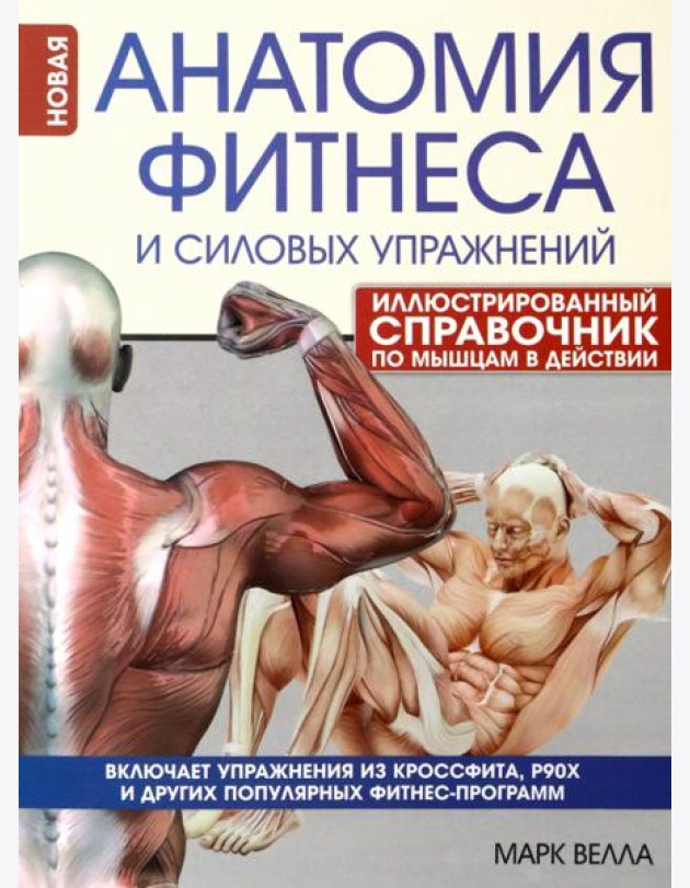 Анатомия фитнеса и силовых упражнений. Иллюстрированный справочник по мышцам в действии