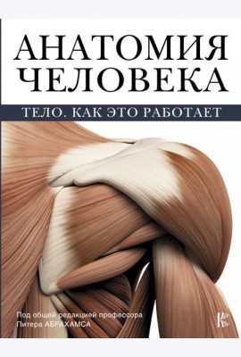 Анатомия человека. Тело. Как это работает