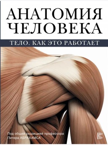 Анатомия человека. Тело. Как это работает
