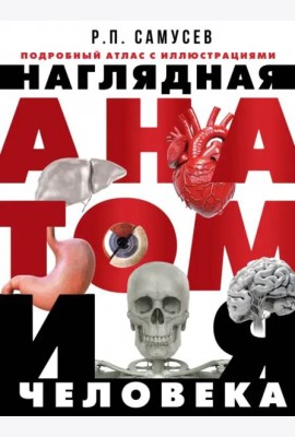 Наглядная анатомия человека. Подробный атлас