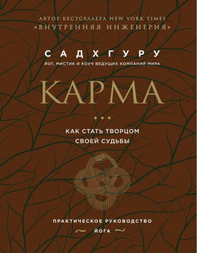 Карма. Как стать творцом своей судьбы (бизнес)
