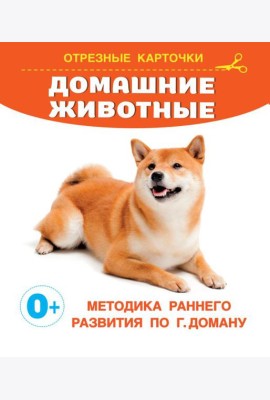 Домашние животные