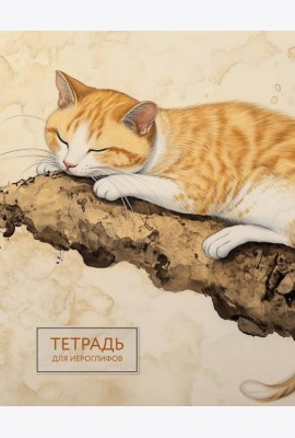Тетрадь для иероглифов (рыжий котик)