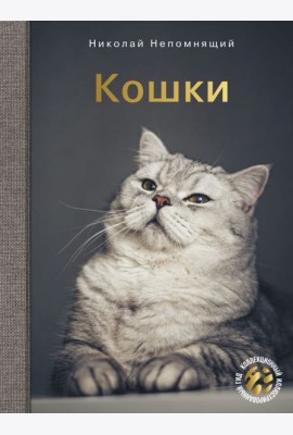 Кошки