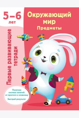 Окружающий мир. Предметы. 5-6 лет