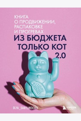 Из бюджета только кот 2.0