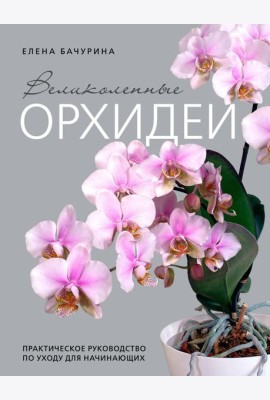 Великолепные орхидеи. Практичное руководство по уходу для начинающих