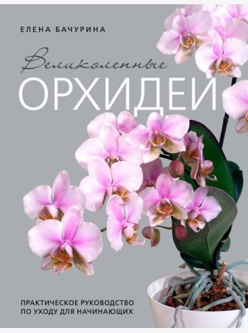 Великолепные орхидеи. Практичное руководство по уходу для начинающих