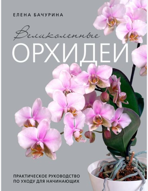 Великолепные орхидеи. Практичное руководство по уходу для начинающих