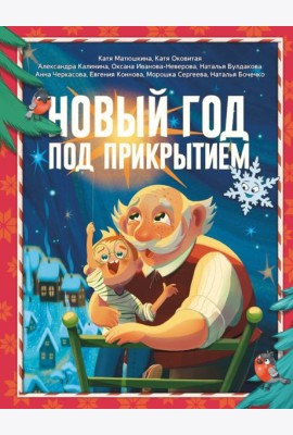 Новый год под прикрытием