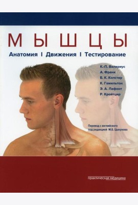 Мышцы. Анатомия. Движения. Тестирование