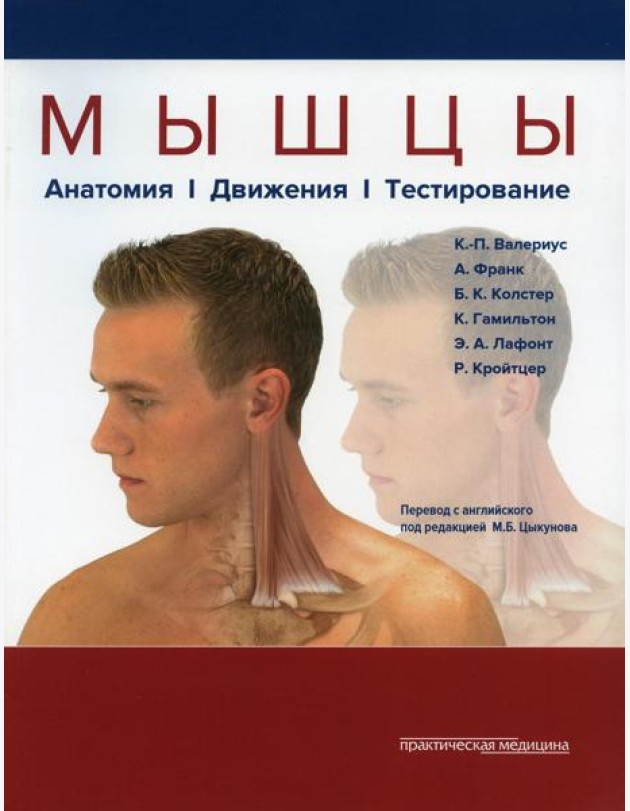 Мышцы. Анатомия. Движения. Тестирование