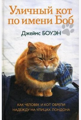 Уличный кот по имени Боб. Как человек и кот обрели надежду на улицах Лондона