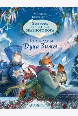 Записки из Зелёного Бора. По следам Духа Зимы