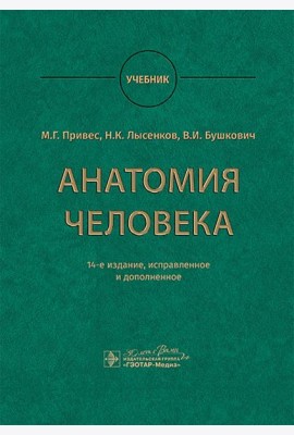 Анатомия человека: Учебник. 14-е изд., испр. и доп. Привес М.Г., Лысенков Н.К., Бушкович В.И.