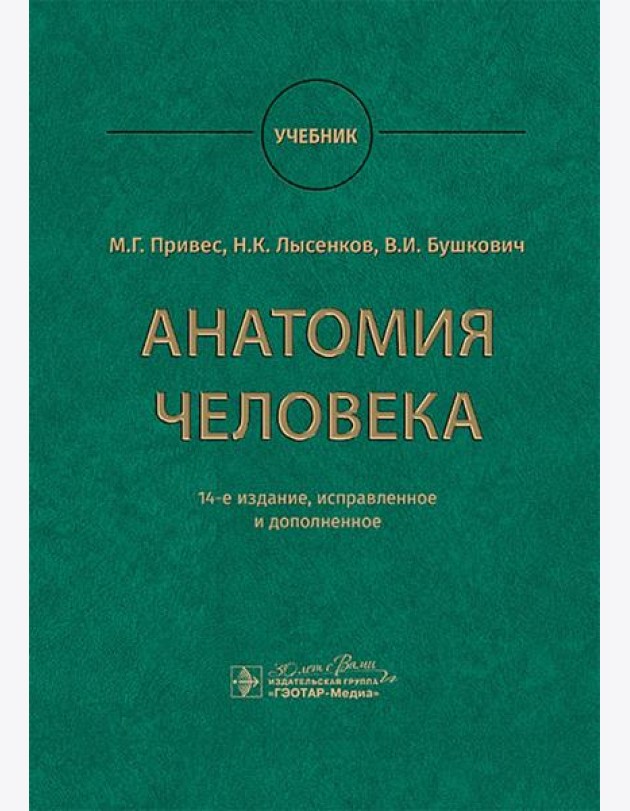 Анатомия человека: Учебник. 14-е изд., испр. и доп. Привес М.Г., Лысенков Н.К., Бушкович В.И.