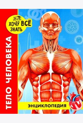 Энциклопедия. Тело человека