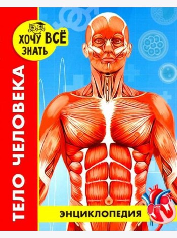 Энциклопедия. Тело человека